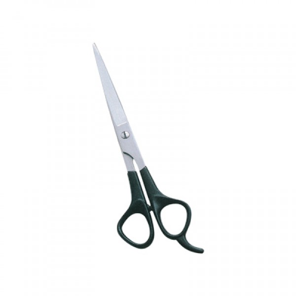 Barber and Dressing Scissors